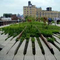 ✓ High Line Park in New York - Data, Photos & Plans - WikiArquitectura