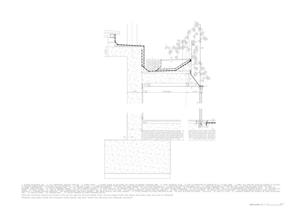Lira_detalles_2