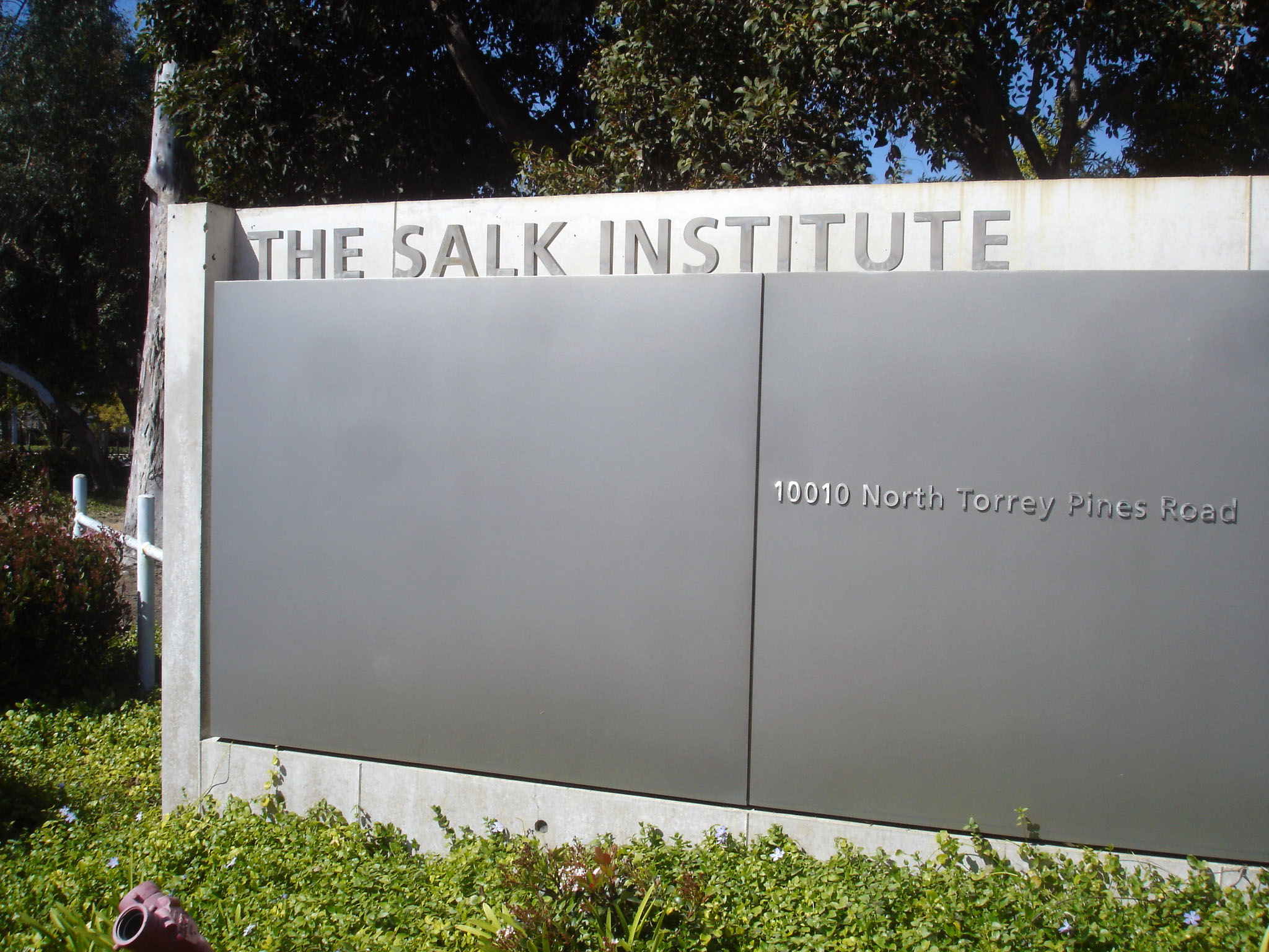 Salk Institute Louis Kahn - WikiArquitectura