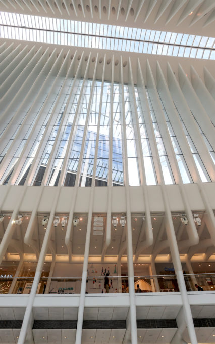 World Trade Center Station – Santiago Calatrava – WikiArchitecture_029